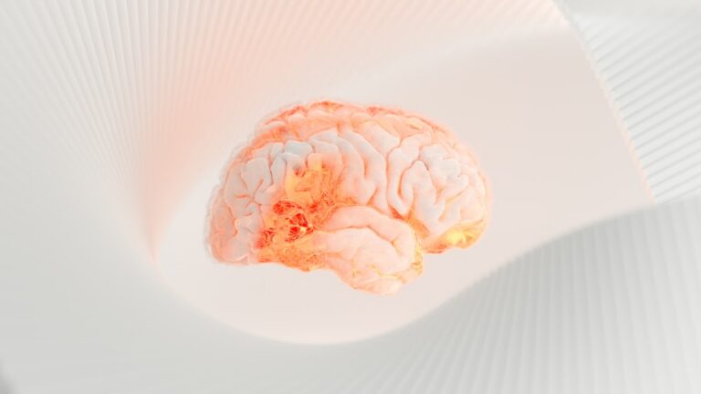 Aged T Cells Secret Granzyme K, Driving Cognitive Decline