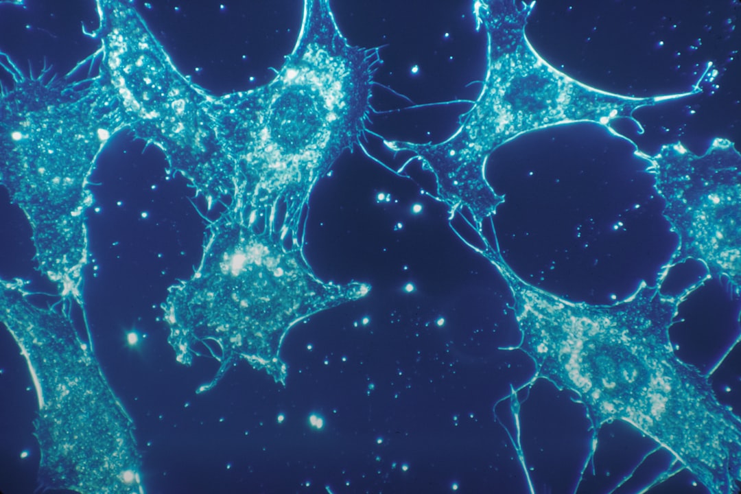 aging cell inflammation — Vitalheros