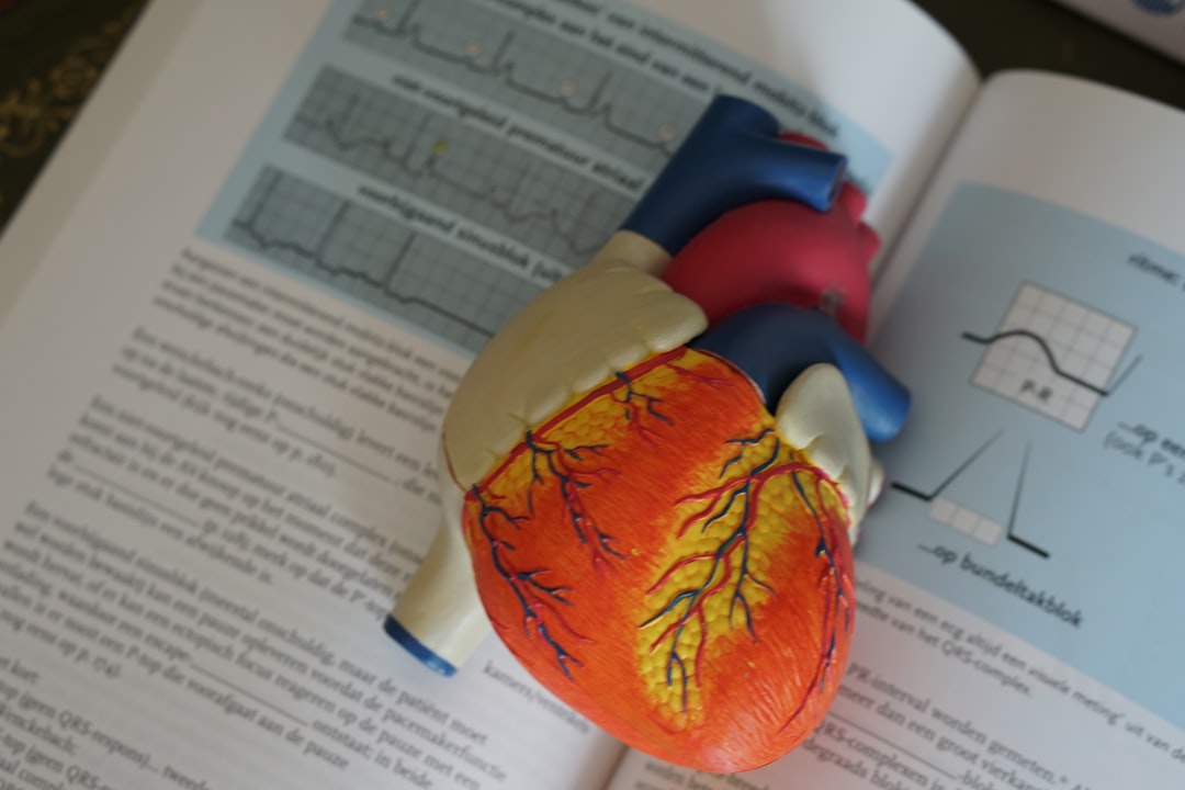 AI heart scan — Vitalheros