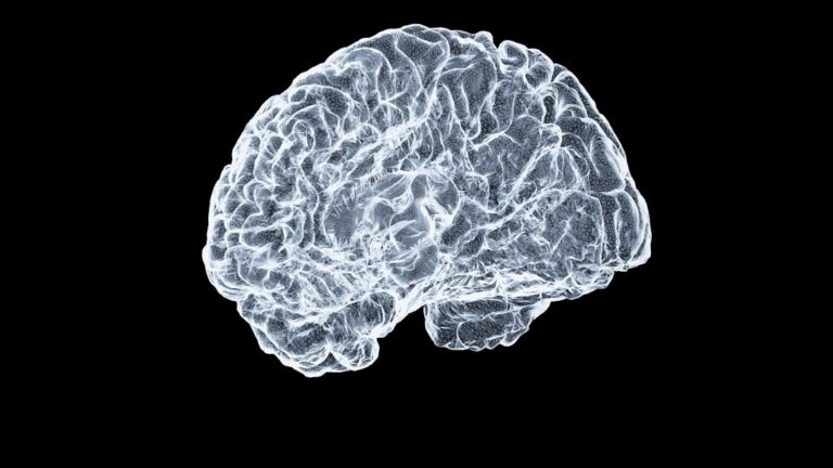 astrocytes brain network — Vitalheros