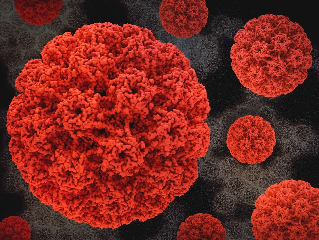 atherosclerosis plaque macrophages — Vitalheros