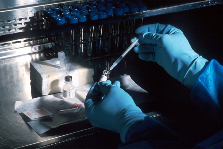 Unlocking Cancer’s Resilience: Targeting Shared Vulnerabilities