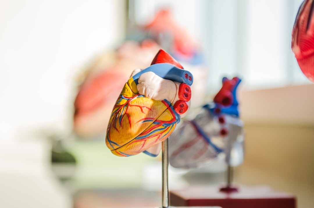 cardio oncology research — Vitalheros