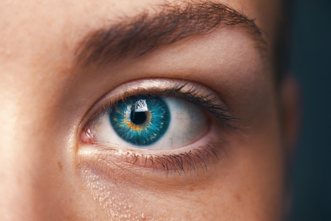 eye health aging research — Vitalheros