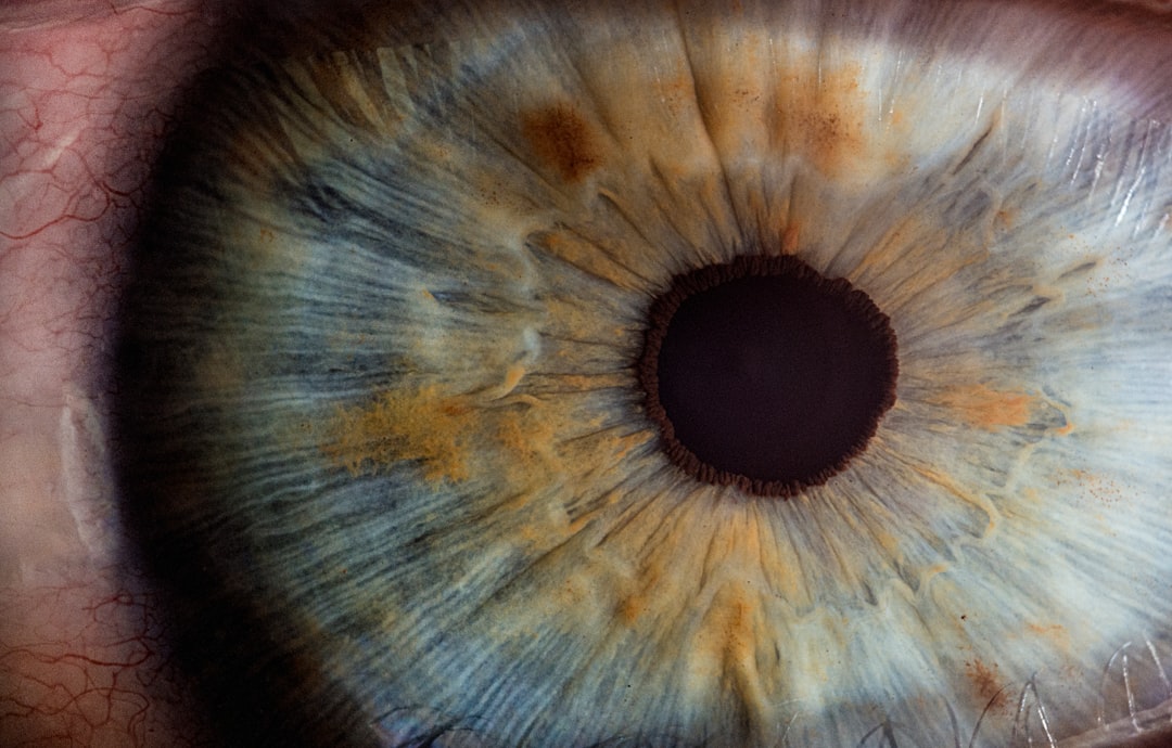 eye retina research — Vitalheros