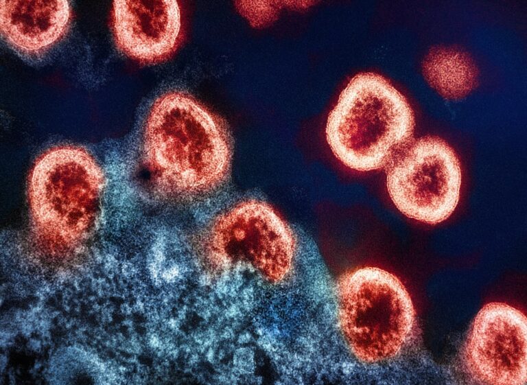 Crohn’s Disease: Gut Cells Bear Lasting Molecular Scars