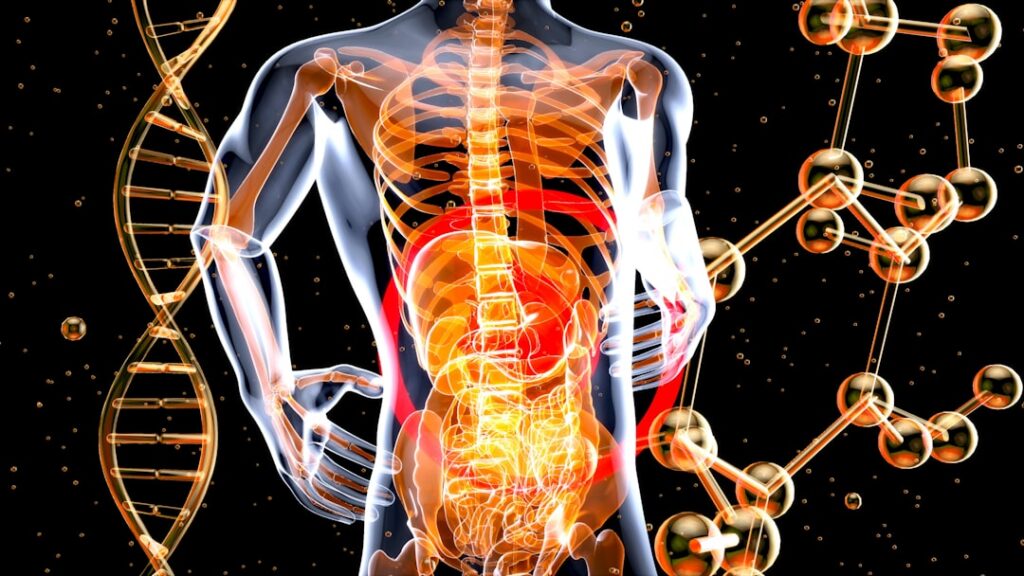 healthy gut science — Vitalheros