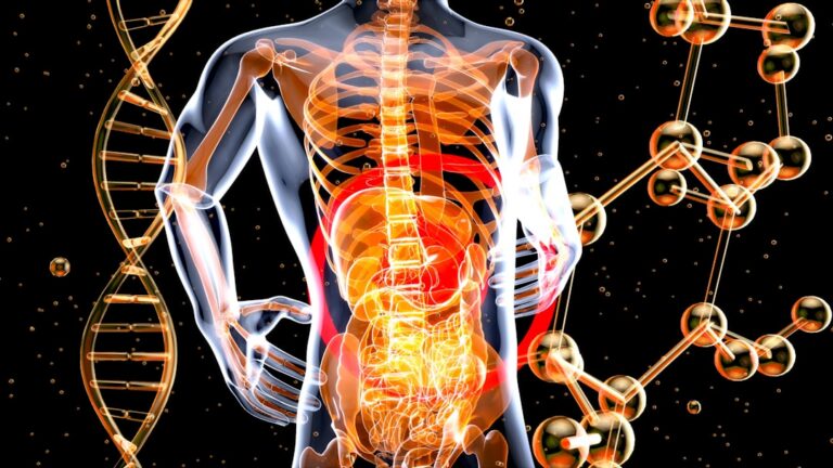 Unlocking Oocyte Health: How the Gut Microbiome Influences Reproductive Aging