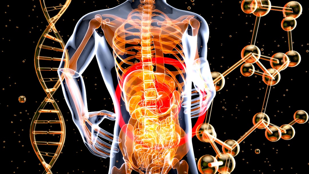 healthy gut science — Vitalheros