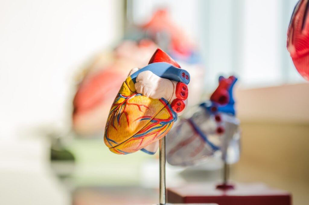 heart health research — Vitalheros