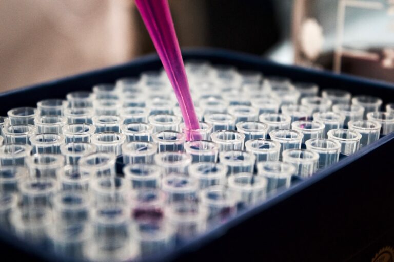 immune cell research — Vitalheros