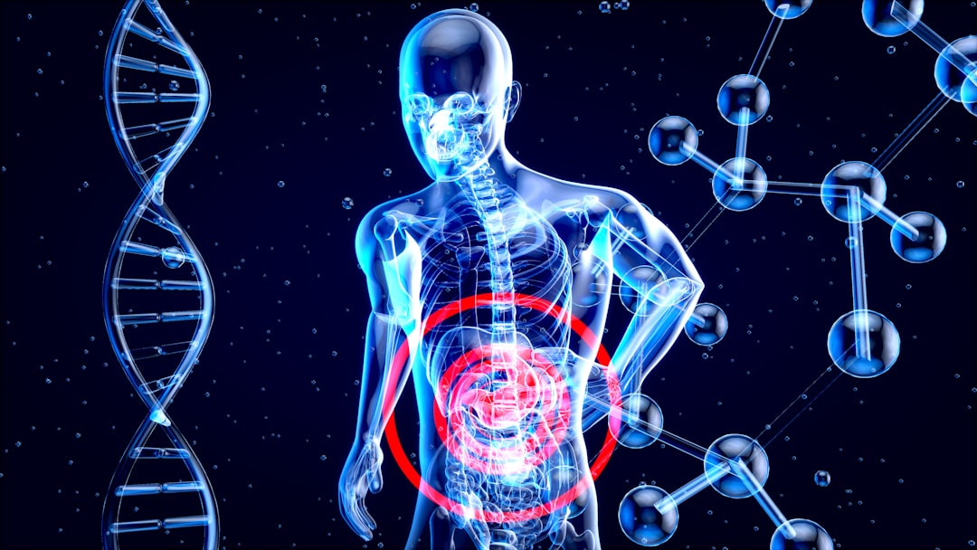 immune system gut microbes — Vitalheros