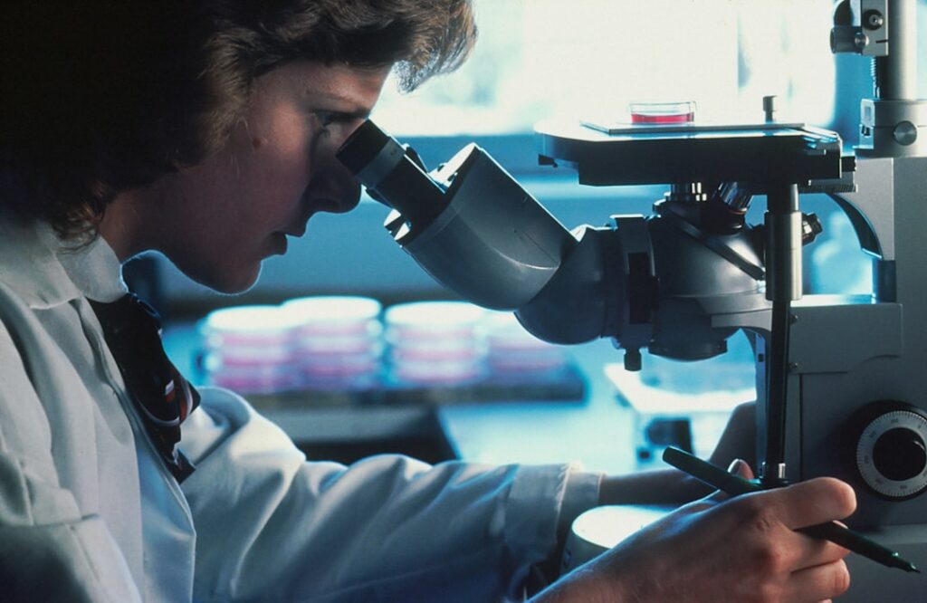 joint regeneration research — Vitalheros