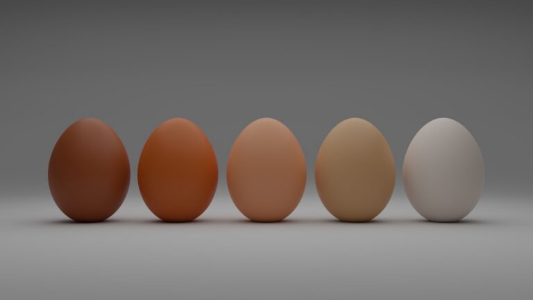 New Optical Technique Illuminates Secrets Within Chicken Eggs