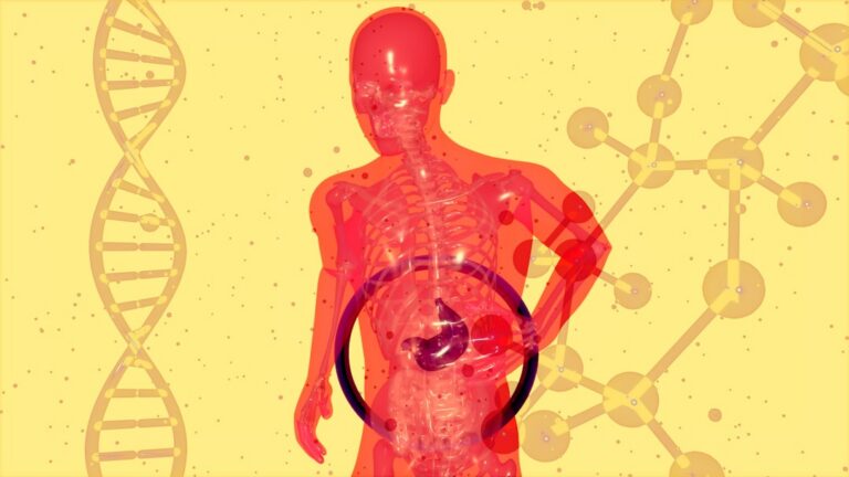 New Drug Offers Hope for Severe Fatty Liver Disease (MASH)