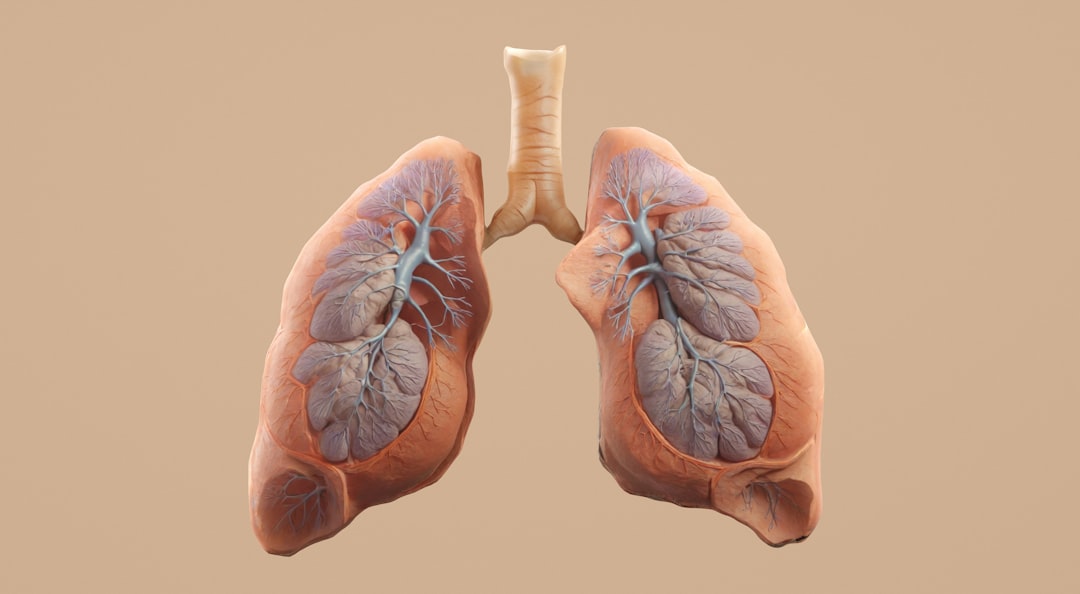 lung transplant success — Vitalheros