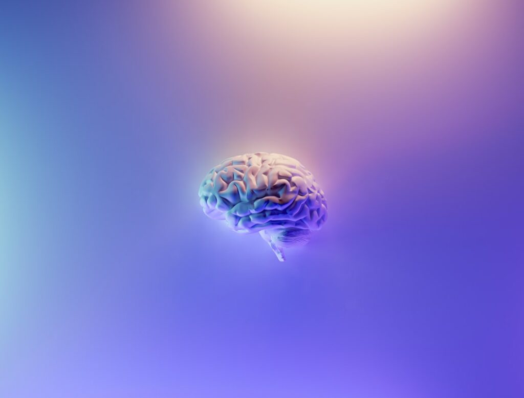 microglia brain — Vitalheros