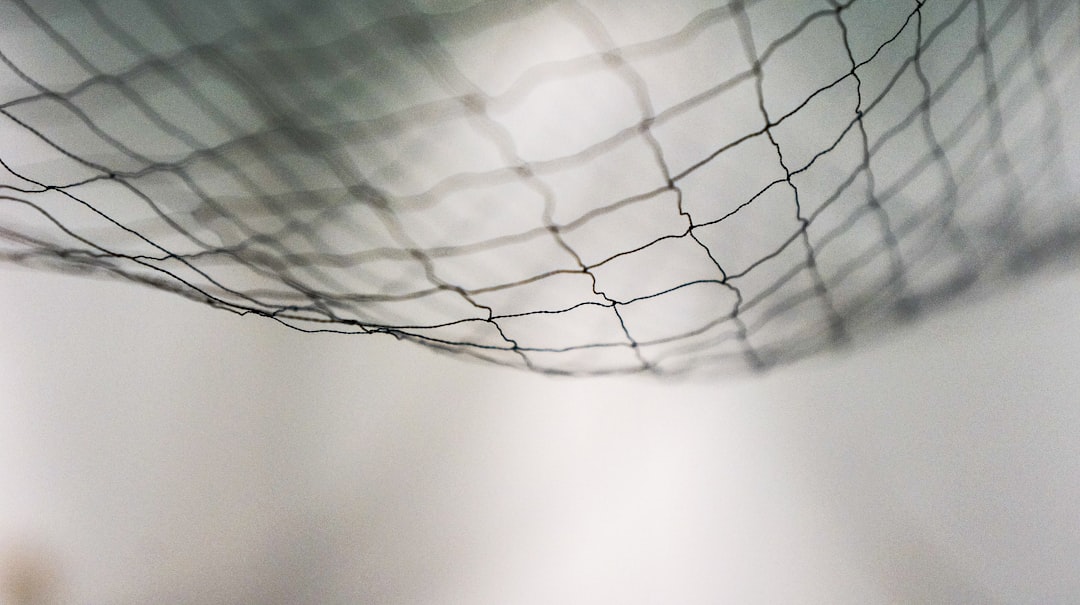 mosquito net field — Vitalheros