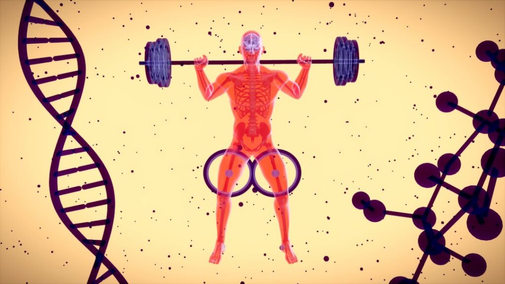 muscle aging research — Vitalheros