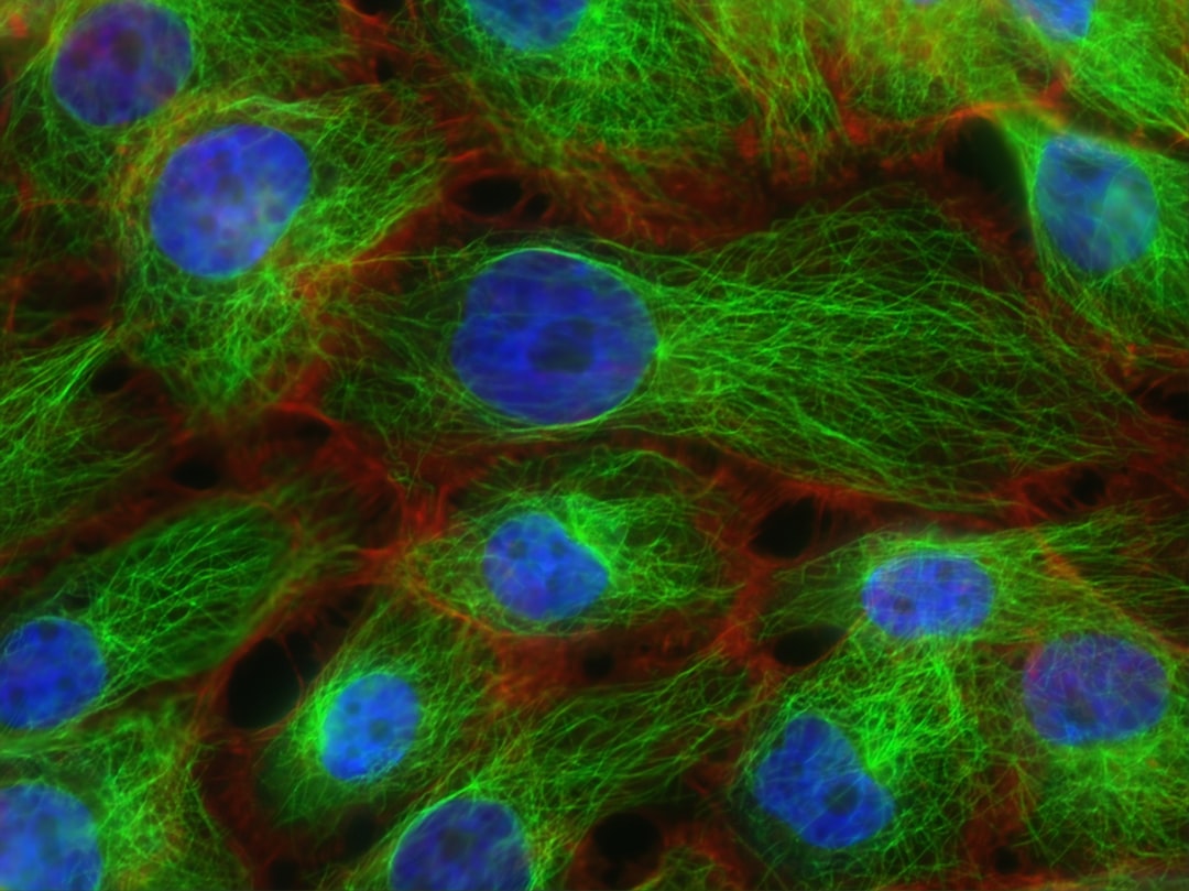 pancreas cellular map — Vitalheros