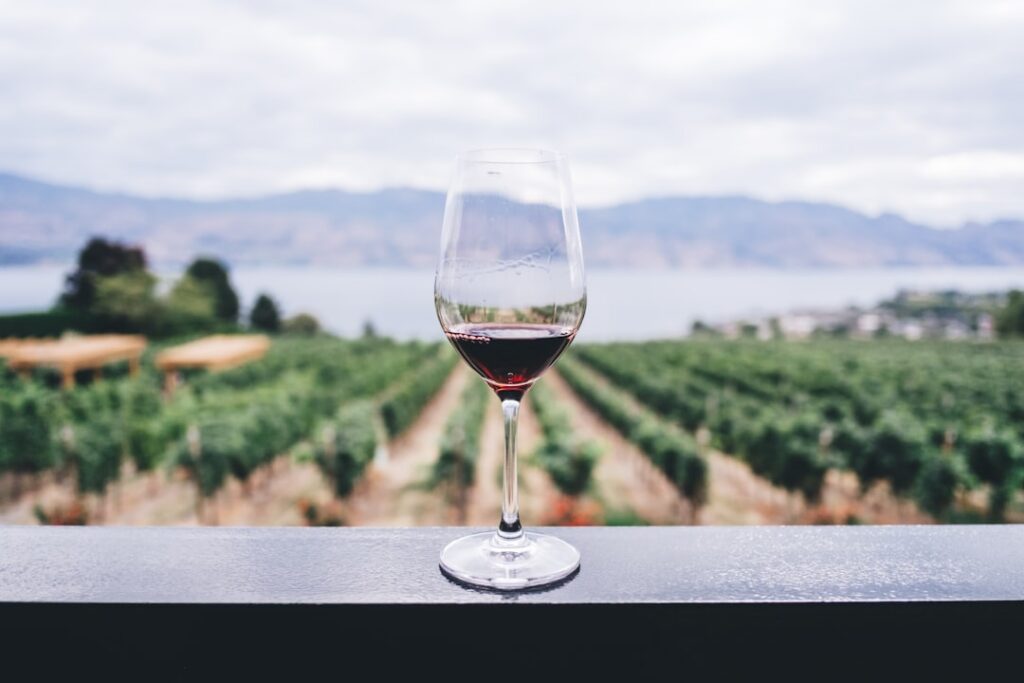 single glass wine — Vitalheros