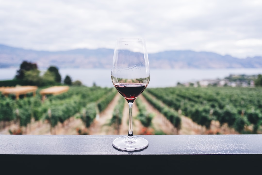 single glass wine — Vitalheros