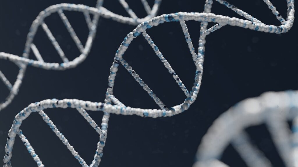 Y chromosome gene cell — Vitalheros