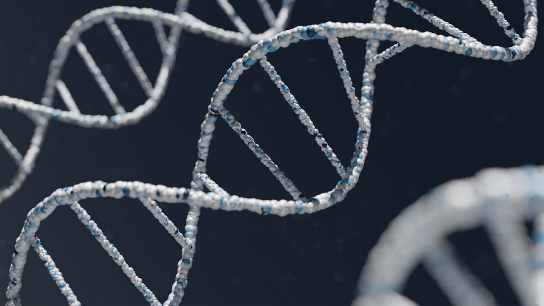 Y chromosome gene cell — Vitalheros