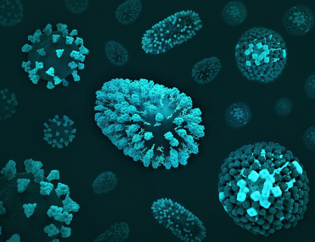 bacterial cells antibiotics — Vitalheros