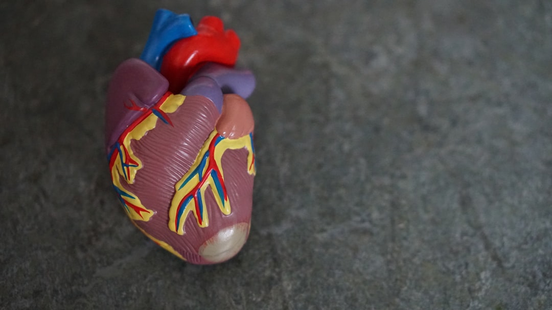 soft robotic heart valve — Vitalheros